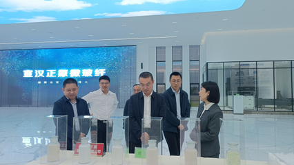 省科技廳巡視員王建偉赴宣漢縣調(diào)研科技創(chuàng)新工作，重點(diǎn)關(guān)注有機(jī)稻谷種植研發(fā)